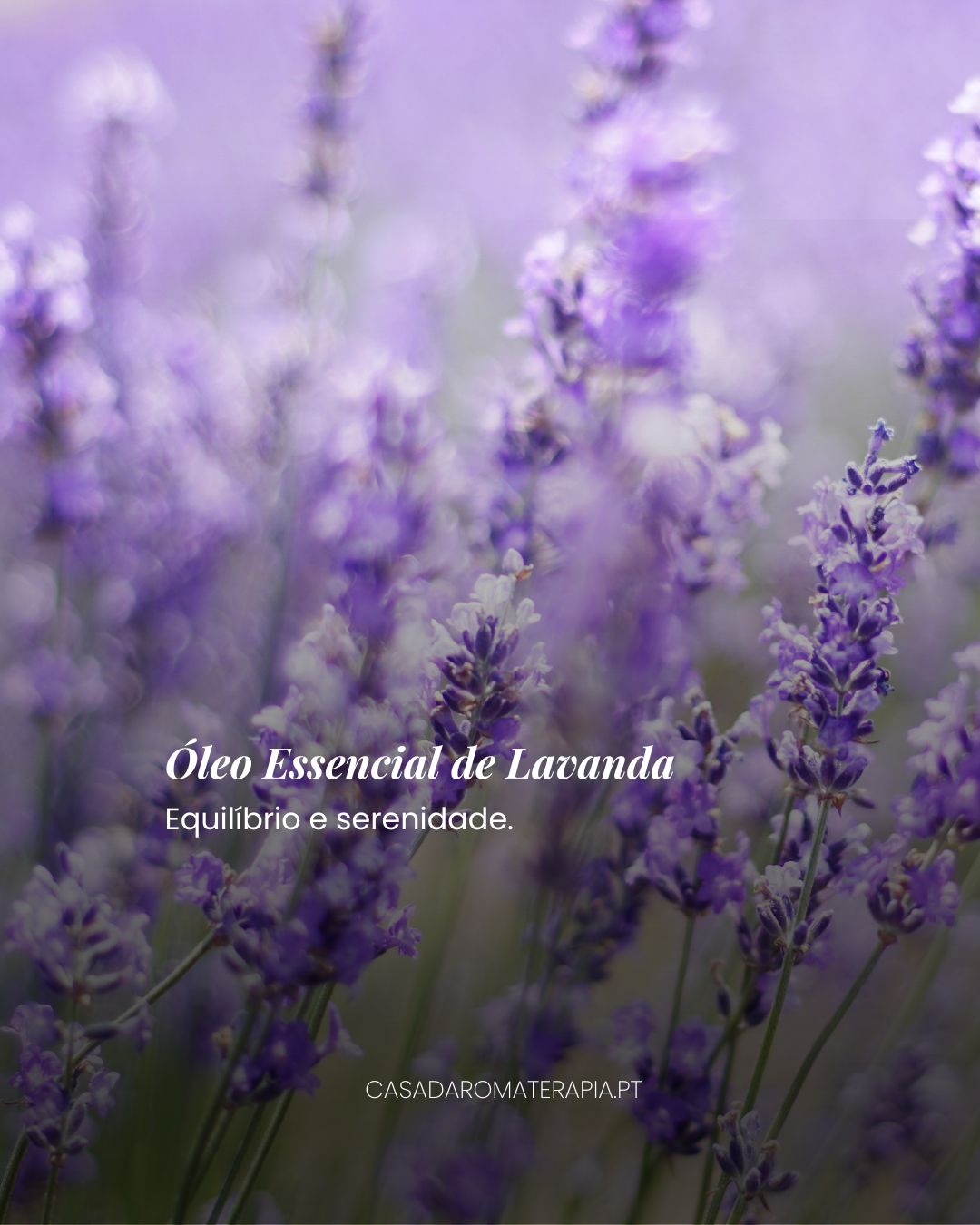 Top 3 Óleos Essenciais: Limpezas Energéticas