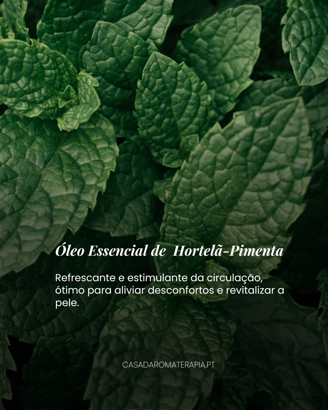 Top 3 Óleos Essenciais: Regeneração da Pele