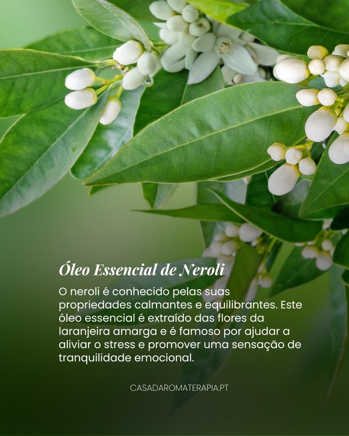 Top 3 Óleos Essenciais: Saúde Emocional