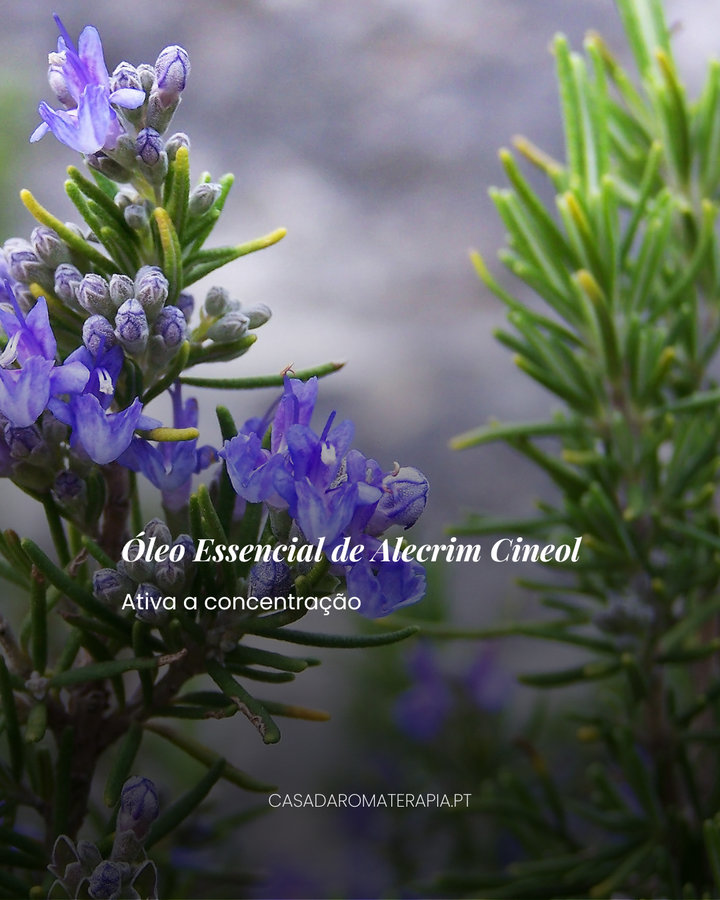 Top 3 Óleos Essenciais: Back to Work