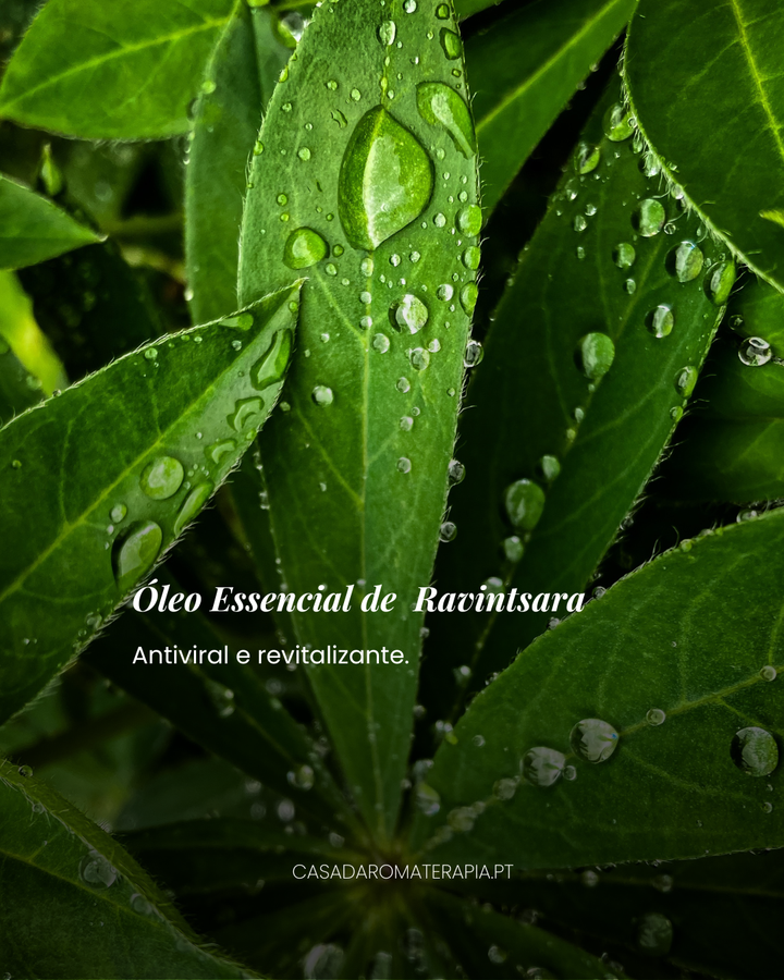 Top 3 Óleos Essenciais: Imunidade