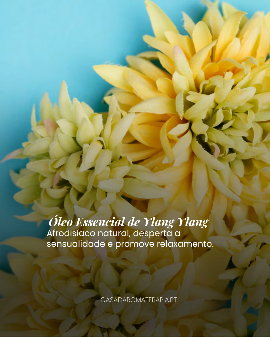 Top 3 Óleos Essenciais: Sensualidade e autoestima