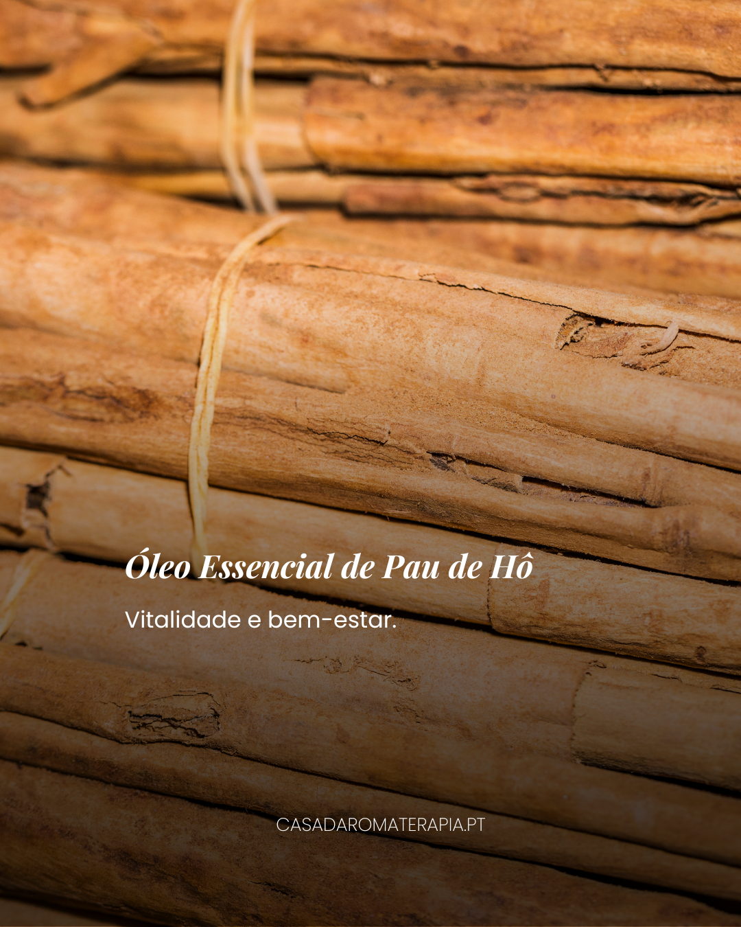 Top 3 Óleos Essenciais: Energia e Vitalidade