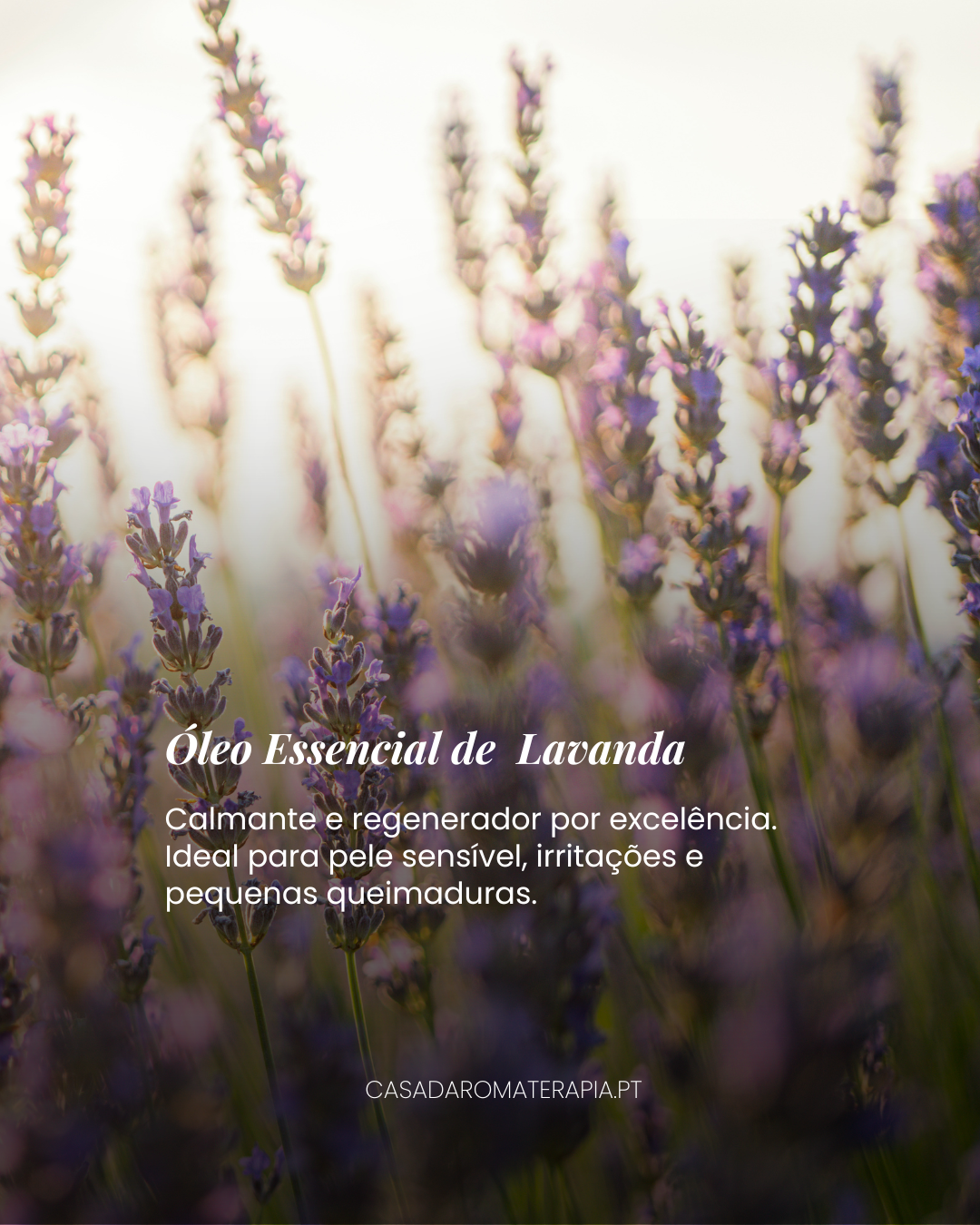 Top 3 Óleos Essenciais: Regeneração da Pele