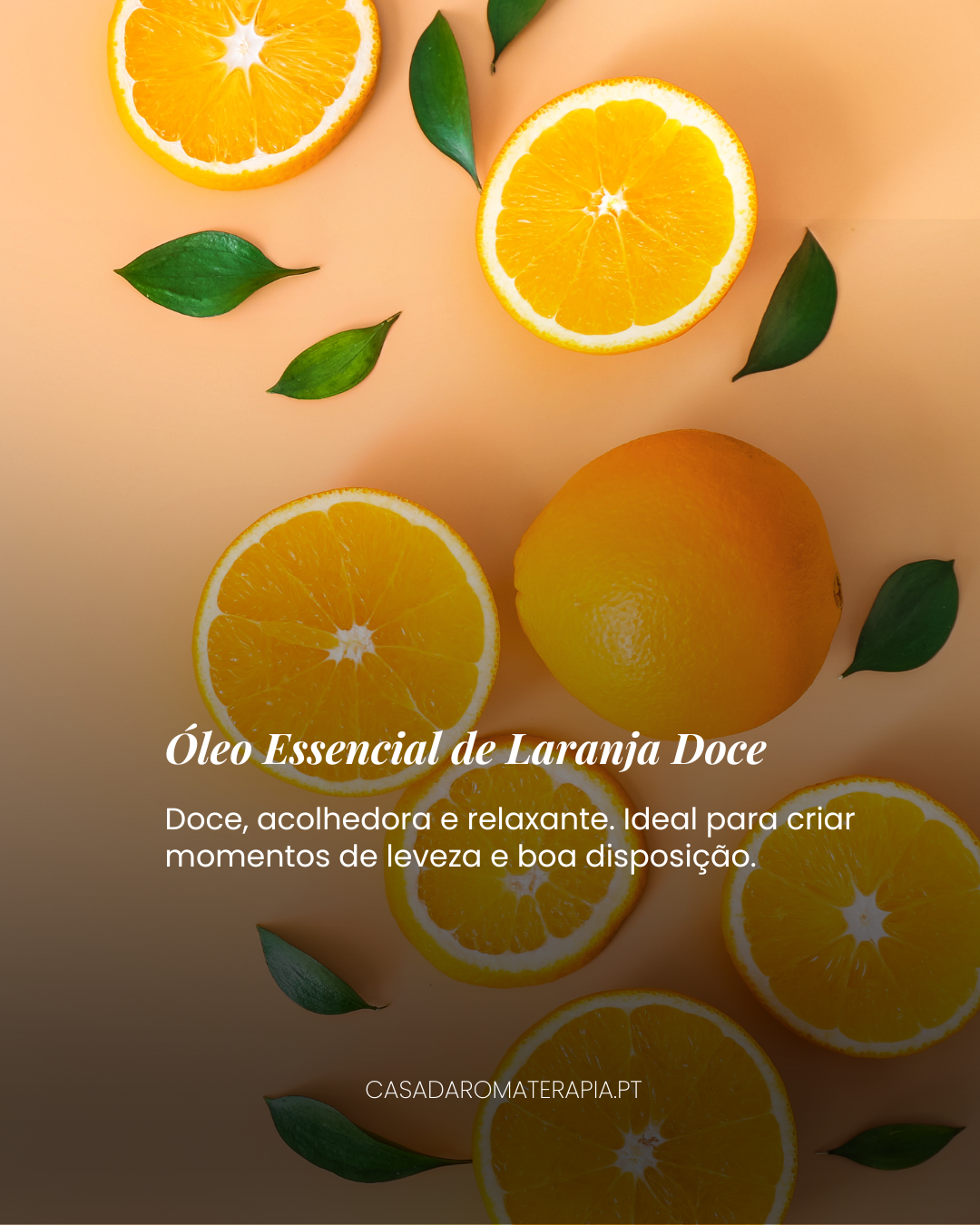 Top 3 Óleos Essenciais: Férias no Frasco