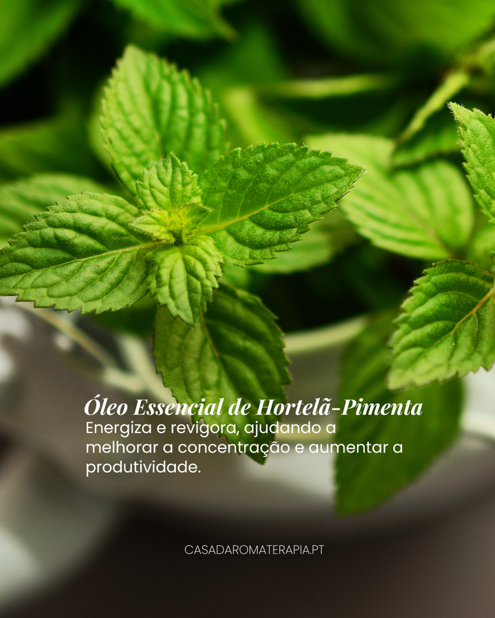 Top 3 Óleos Essenciais para Concentração