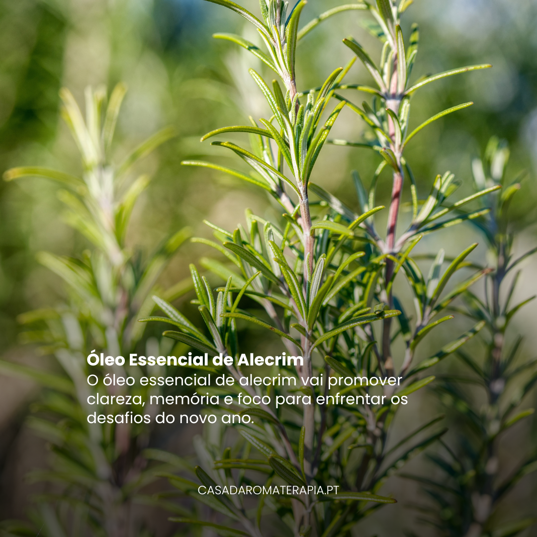 TOP 3 Óleos Essenciais para Renovar Energias