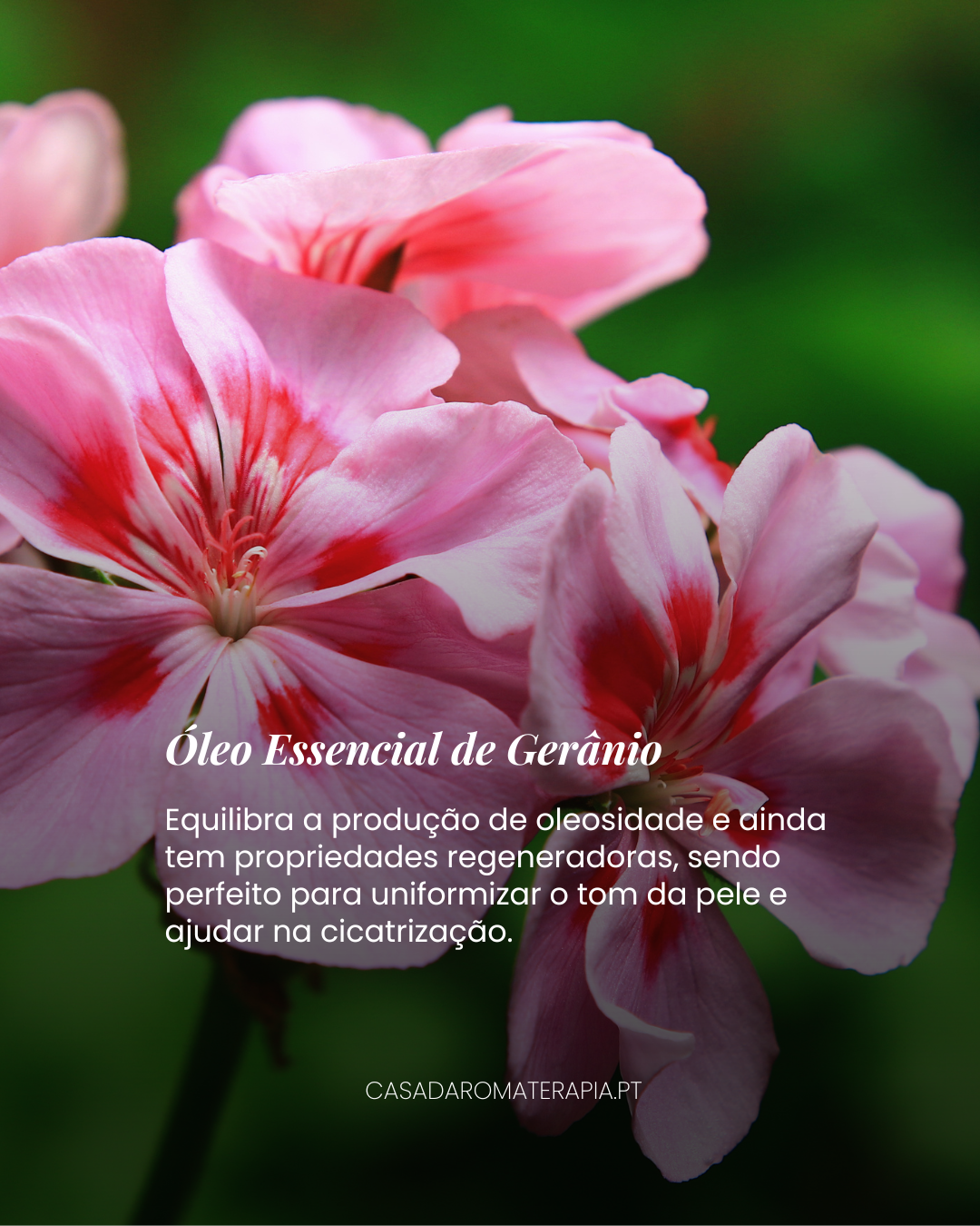 Top 3 Óleos Essenciais Pele Oleosa e Imperfeições