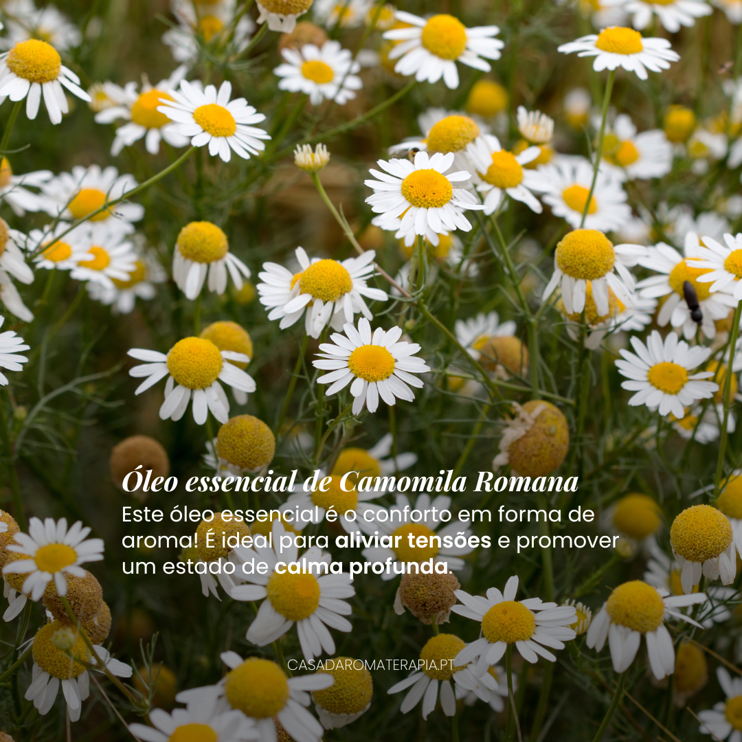 Top 3 Óleos Essenciais para Relaxamento