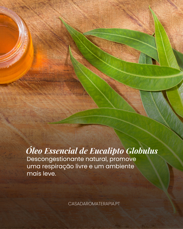 Top 3 Óleos Essenciais: Purificar ambientes