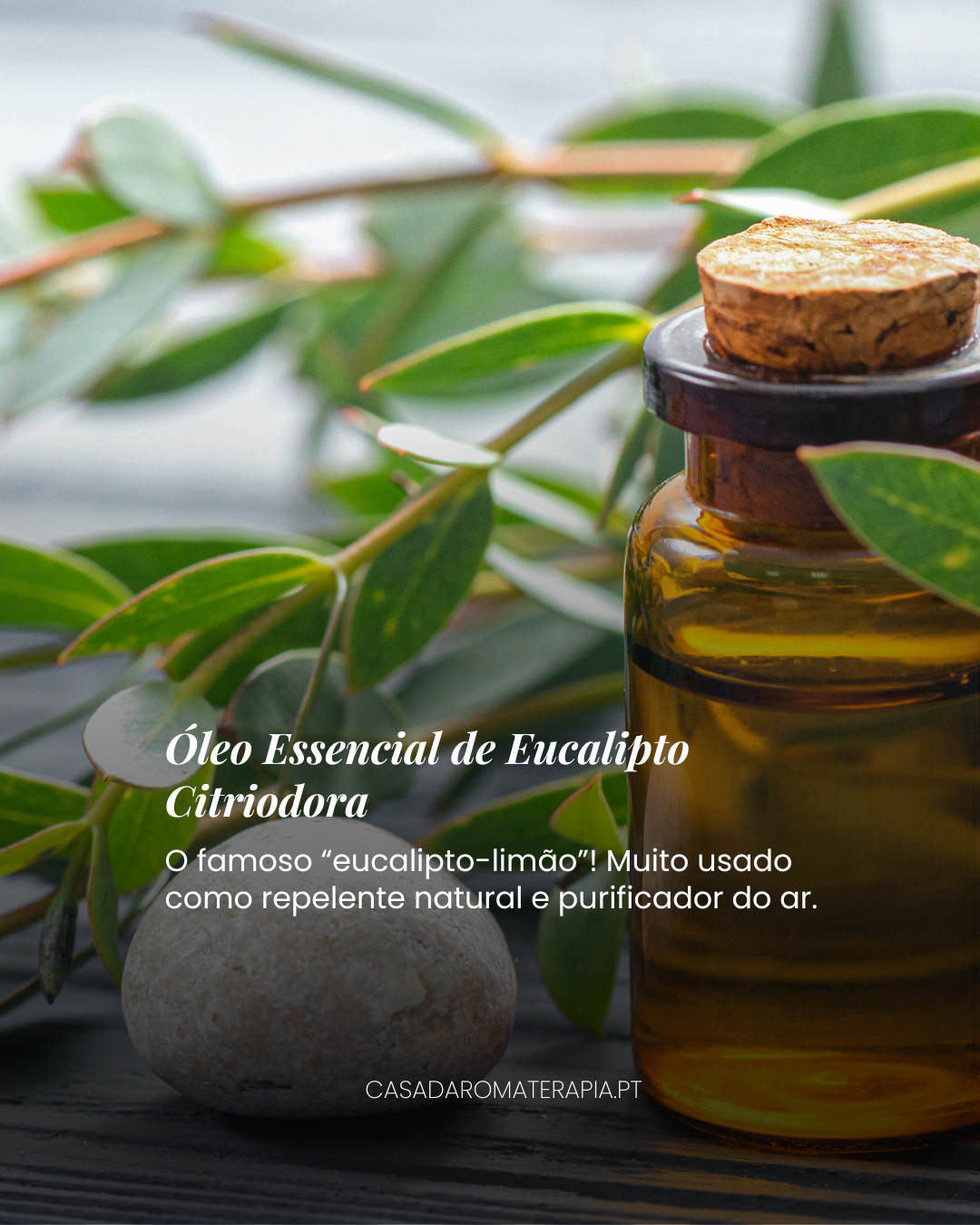 Top 3 Óleos Essenciais: Ar livre