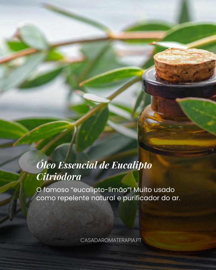 Top 3 Óleos Essenciais: Ar livre