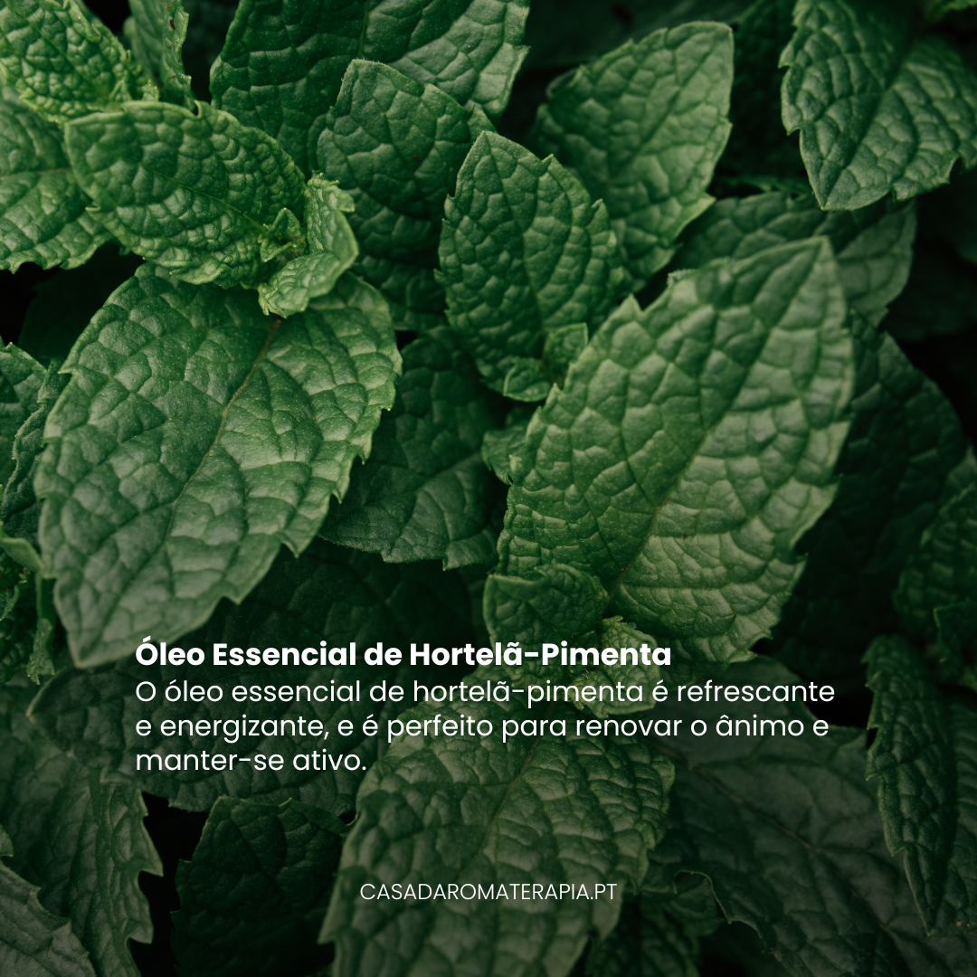 TOP 3 Óleos Essenciais para Renovar Energias