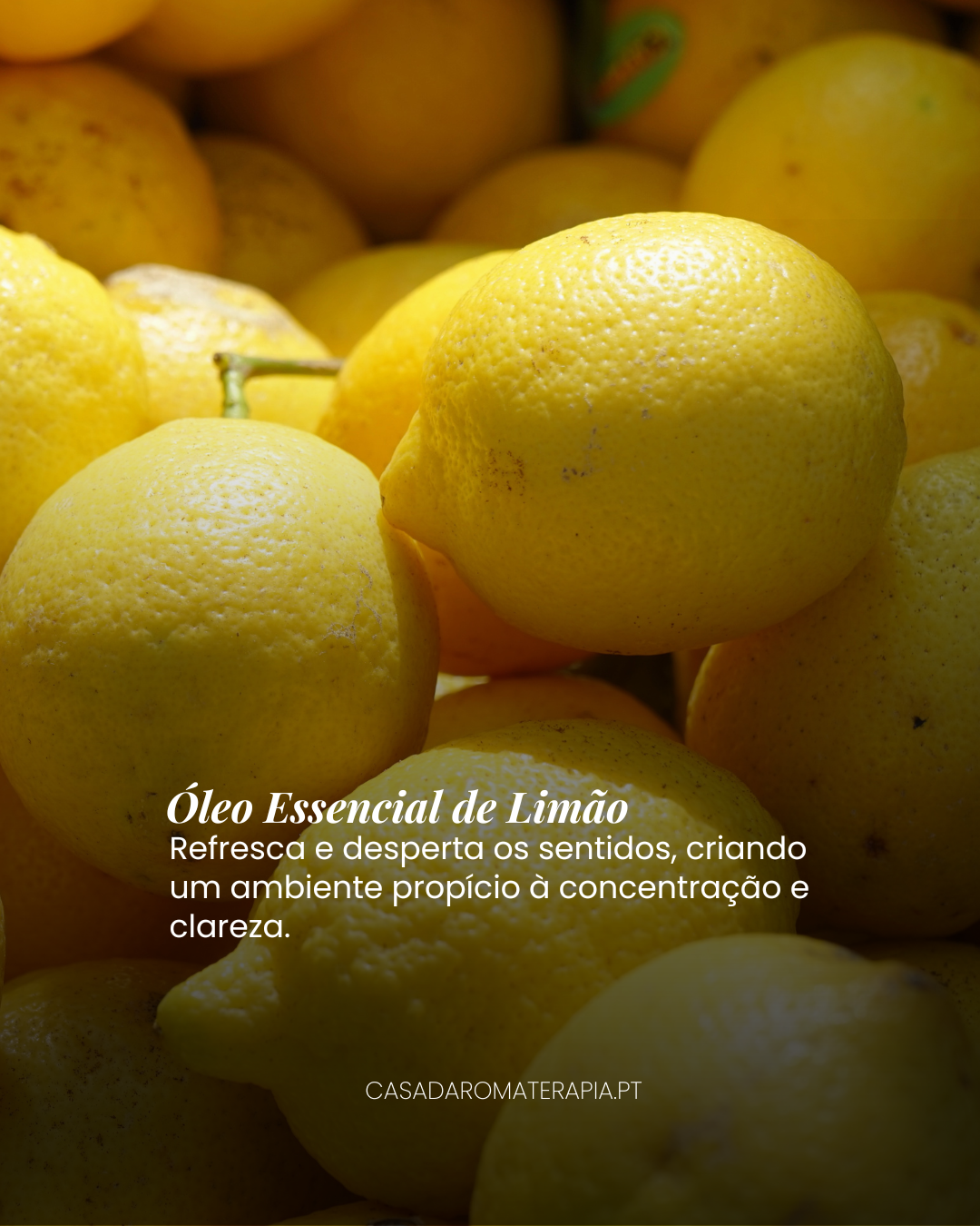 Top 3 Óleos Essenciais para Concentração