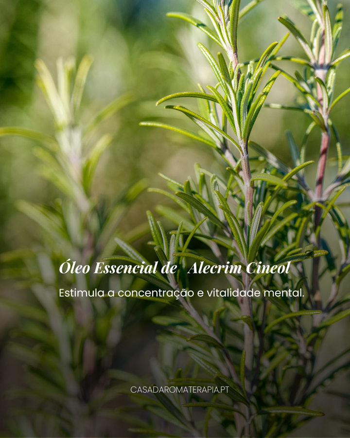 Top 3 Óleos Essenciais: Trio da Renovação