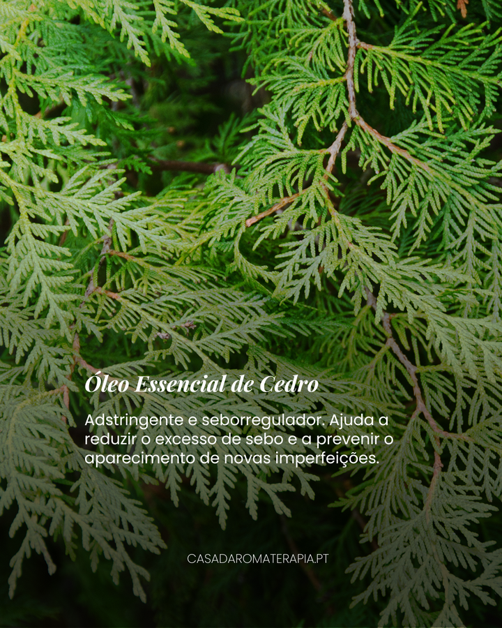 Top 3 Óleos Essenciais Pele Oleosa e Imperfeições