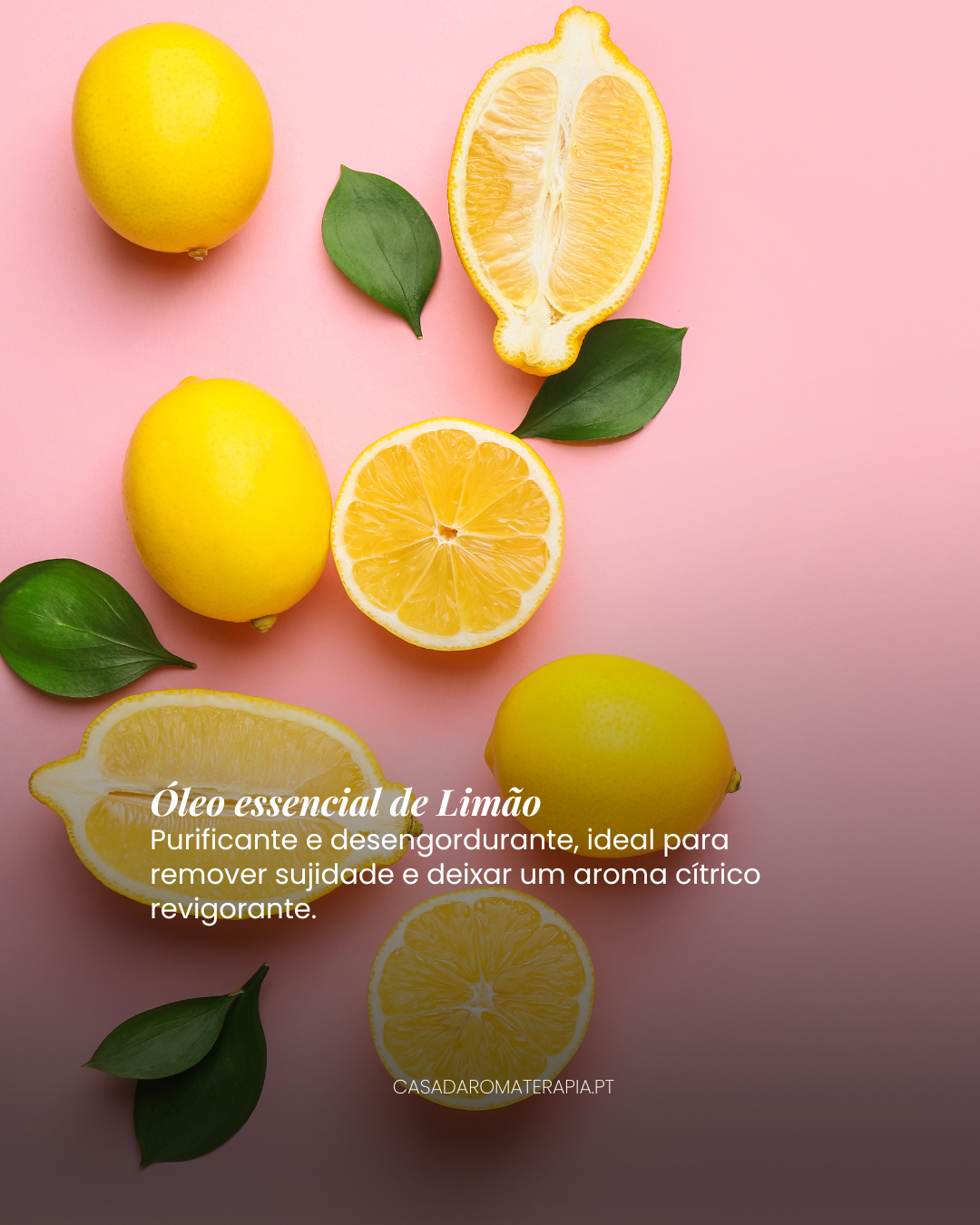 Top 3 Óleos Essenciais: Limpezas da Casa