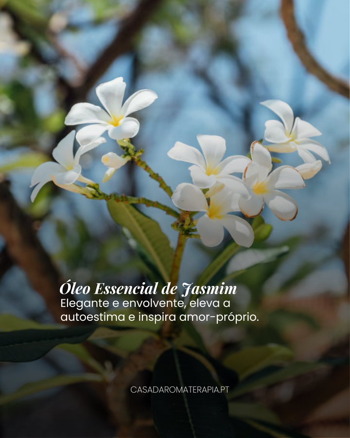 Top 3 Óleos Essenciais: Sensualidade e autoestima