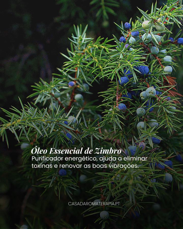 Top 3 Óleos Essenciais: Purificar ambientes