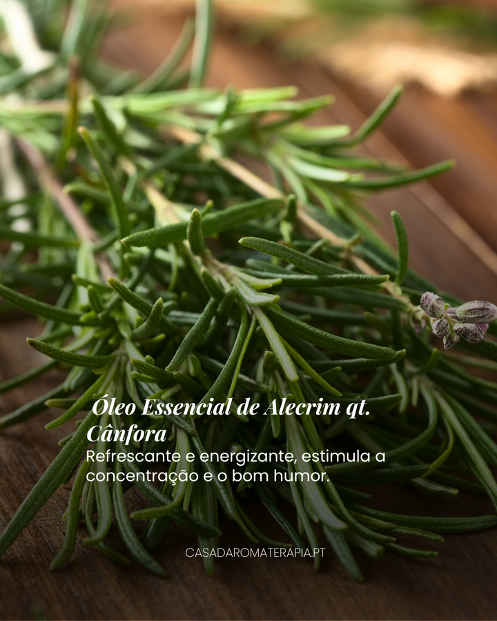 Top 3 Óleos Essenciais: Revitalizar Corpo e Mente