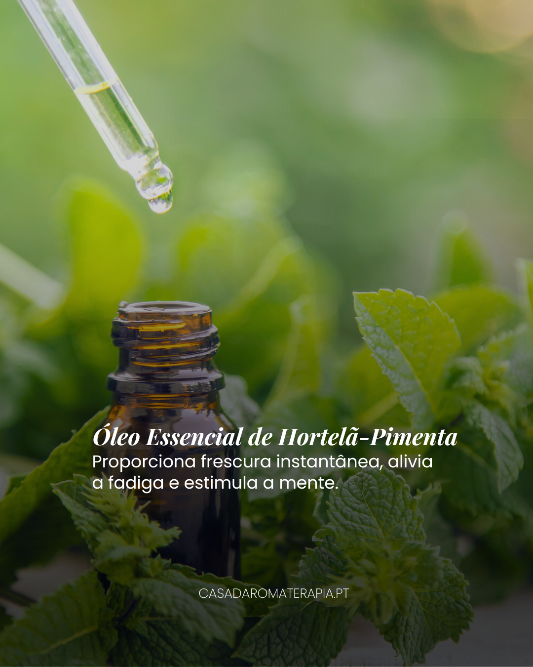 Top 3 Óleos Essenciais: Revitalizar Corpo e Mente