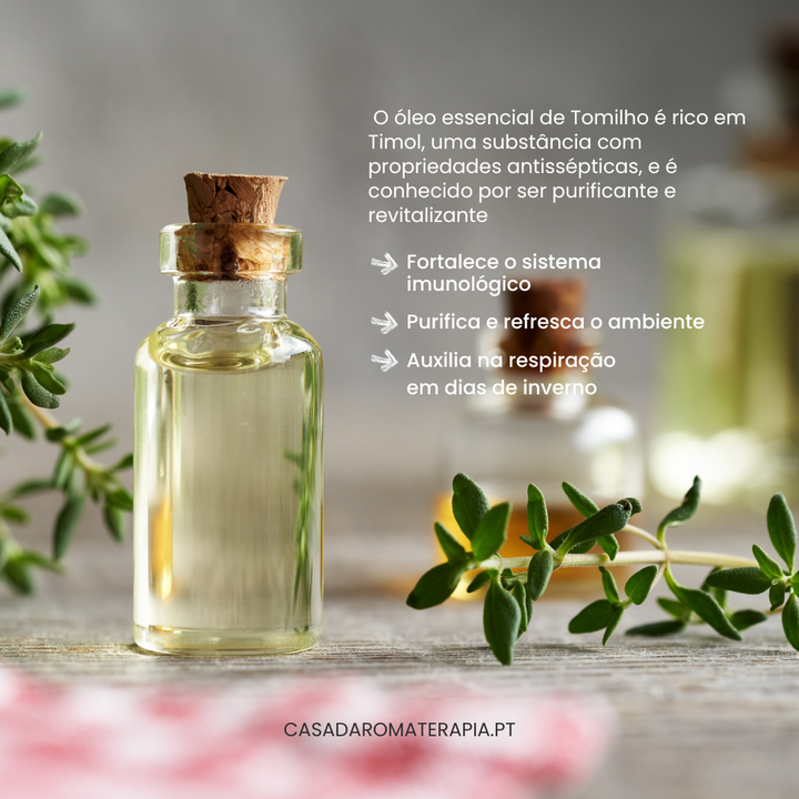 Thyme Essential Oil QT thymol PT BIO
