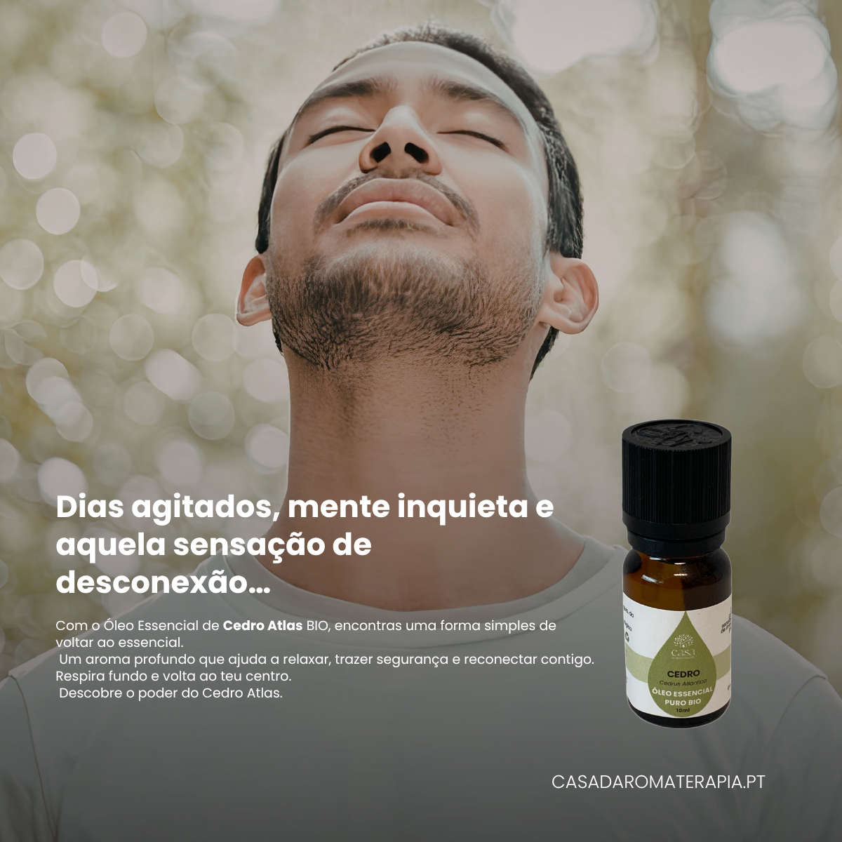 Óleo Essencial de Cedro Atlas BIO – Relaxamento Profundo e Equilíbrio Natural