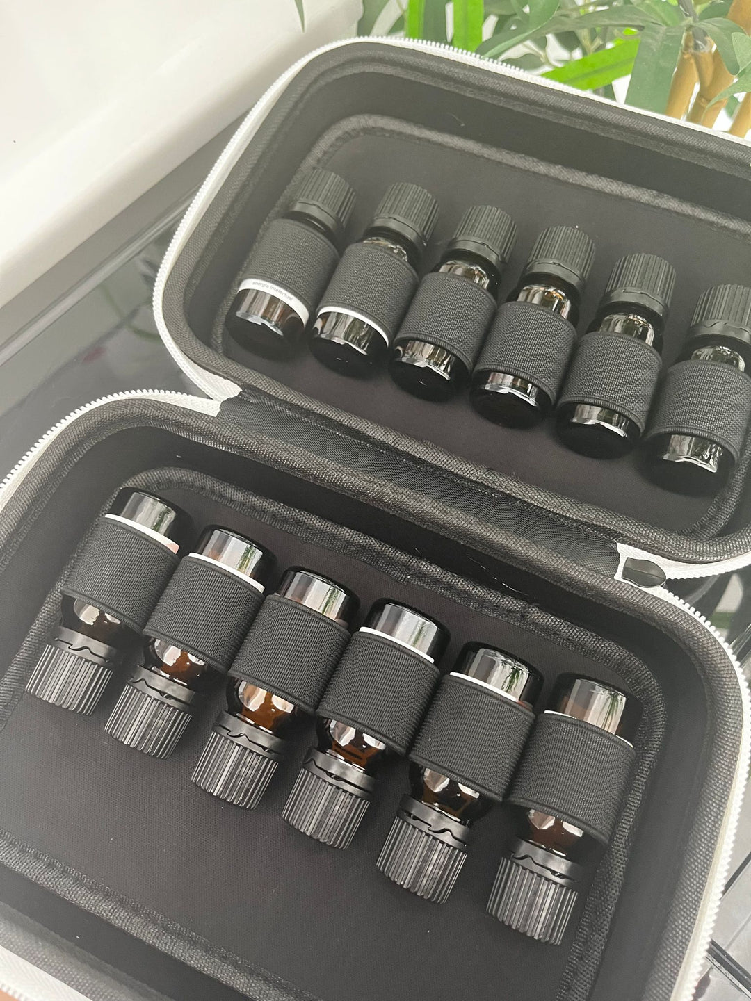 Animal Aromatherapy KIT