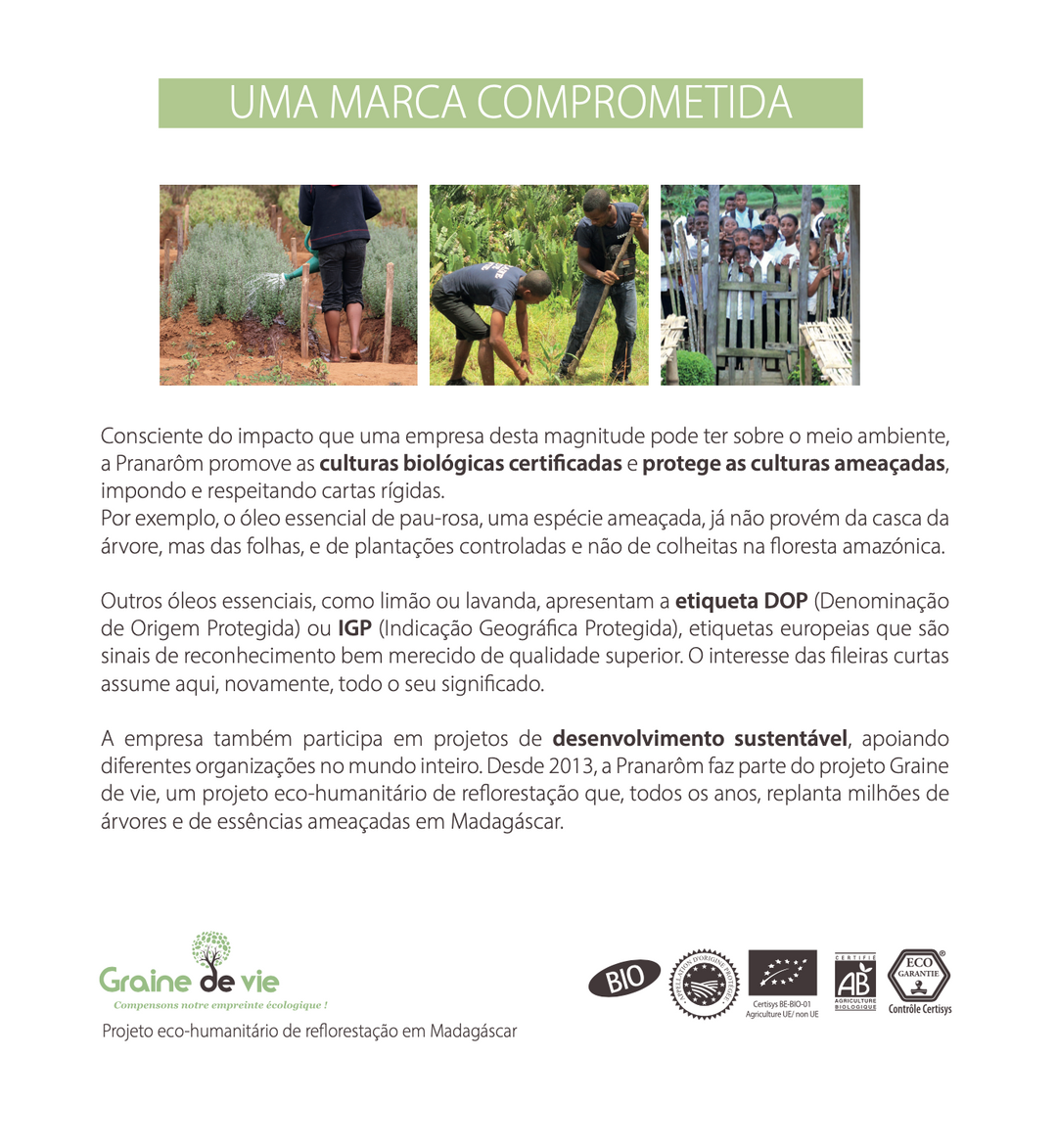 Óleo Essencial Árvore do Chá (tea tree) Melaleuca alternifolia 10ml bio