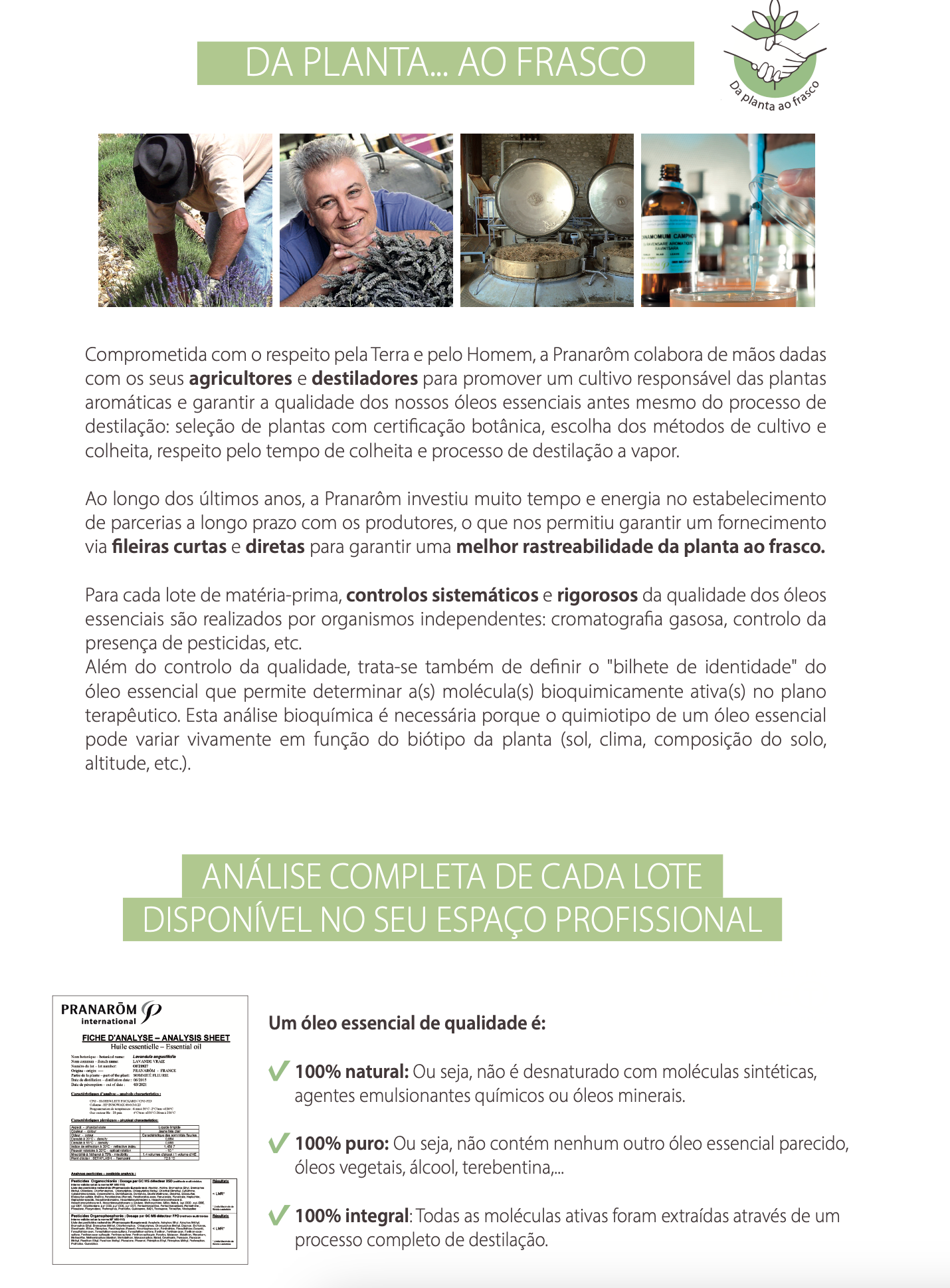 Óleo Essencial Hortelã Pimenta Mentha piperita 10ml bio