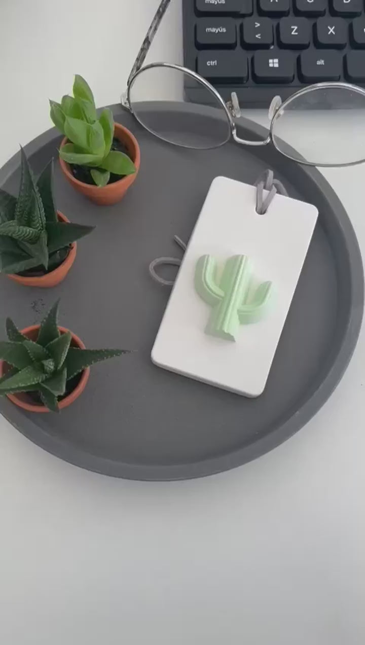 Difusor Passivo Cactus em Cerâmica.