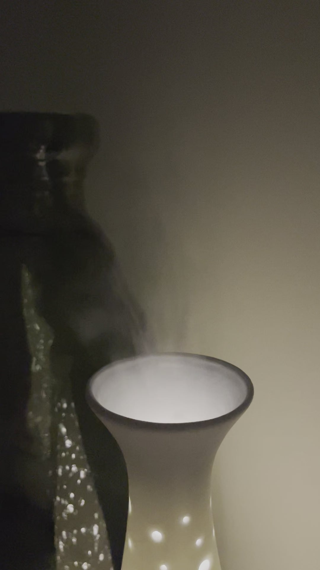 Difusor Ultrassónico para Óleos Essenciais | JARRÃO 40CM.