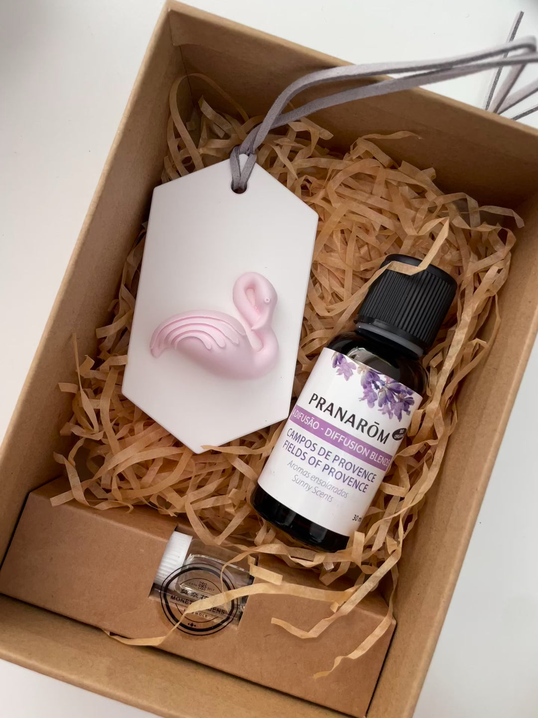 Difusor Passivo Cactus em Cerâmica.