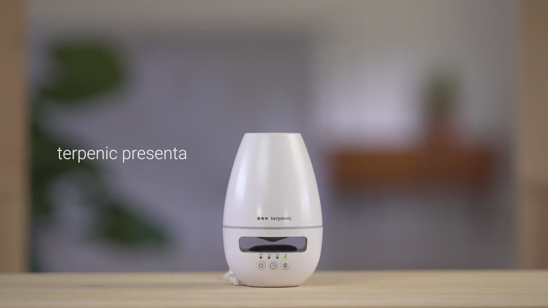 Pulse ultrasonic diffuser (with speaker)