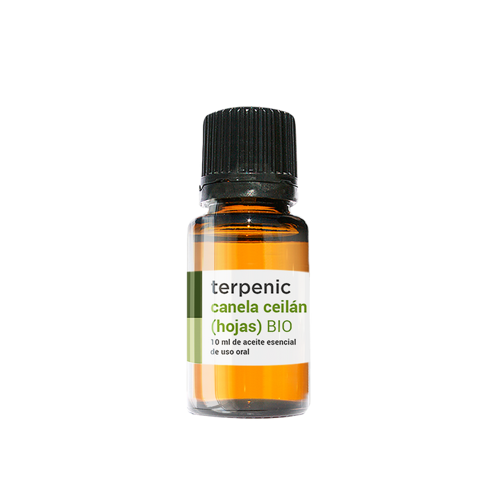 Cinnamon Essential Oil (bio leaves) 10ml