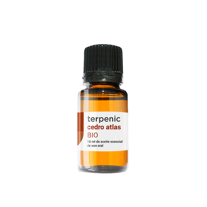 Atlas Cedar Essential Oil (bio) 10ml