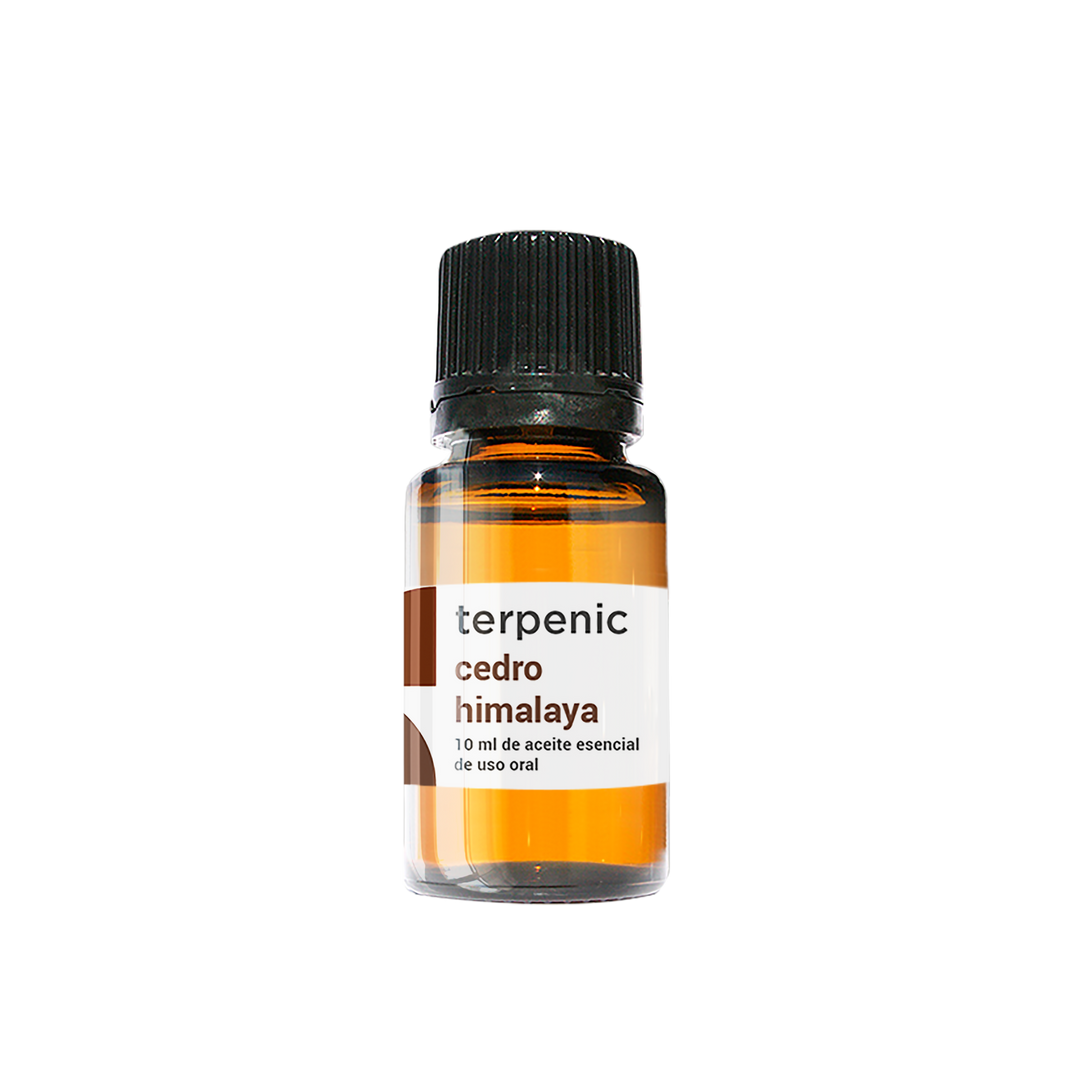 Himalayan Cedar Essential Oil 10ml