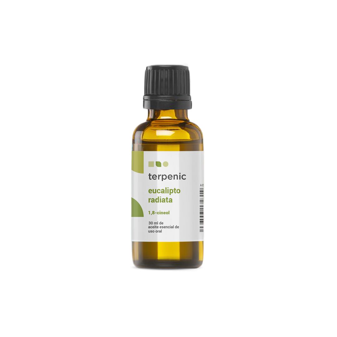 Bio Eucalyptus Radiata Essential Oil 🌿 | Eucalyptus radiata