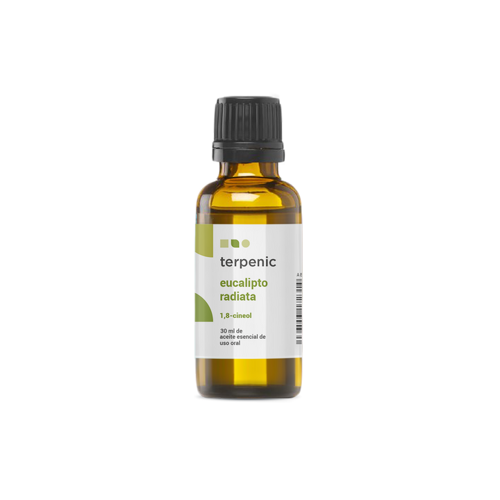 Bio Eucalyptus Radiata Essential Oil 🌿 | Eucalyptus radiata