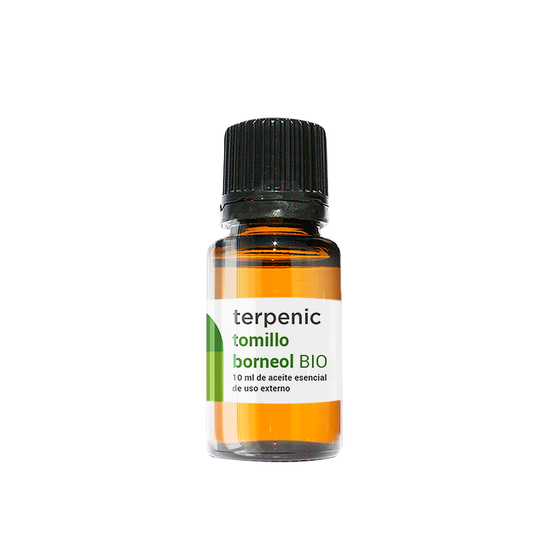 Thyme borneol Essential Oil (bio) 10ml