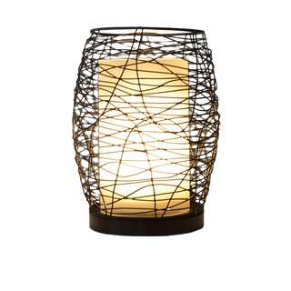 Web Ultrasonic Diffuser (Iron)