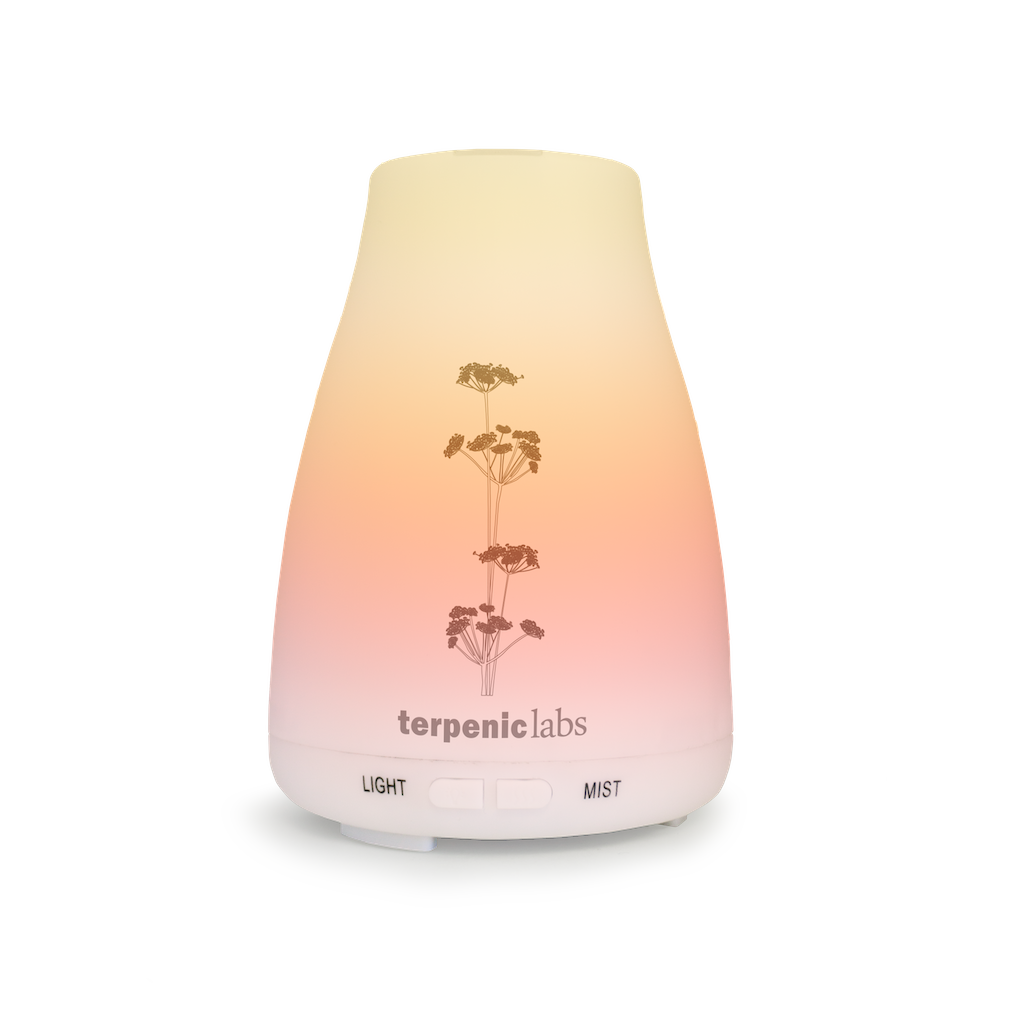 Bruma ultrasonic diffuser