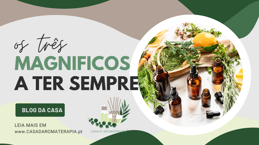 Os três magníficos que deve ter sempre em casa