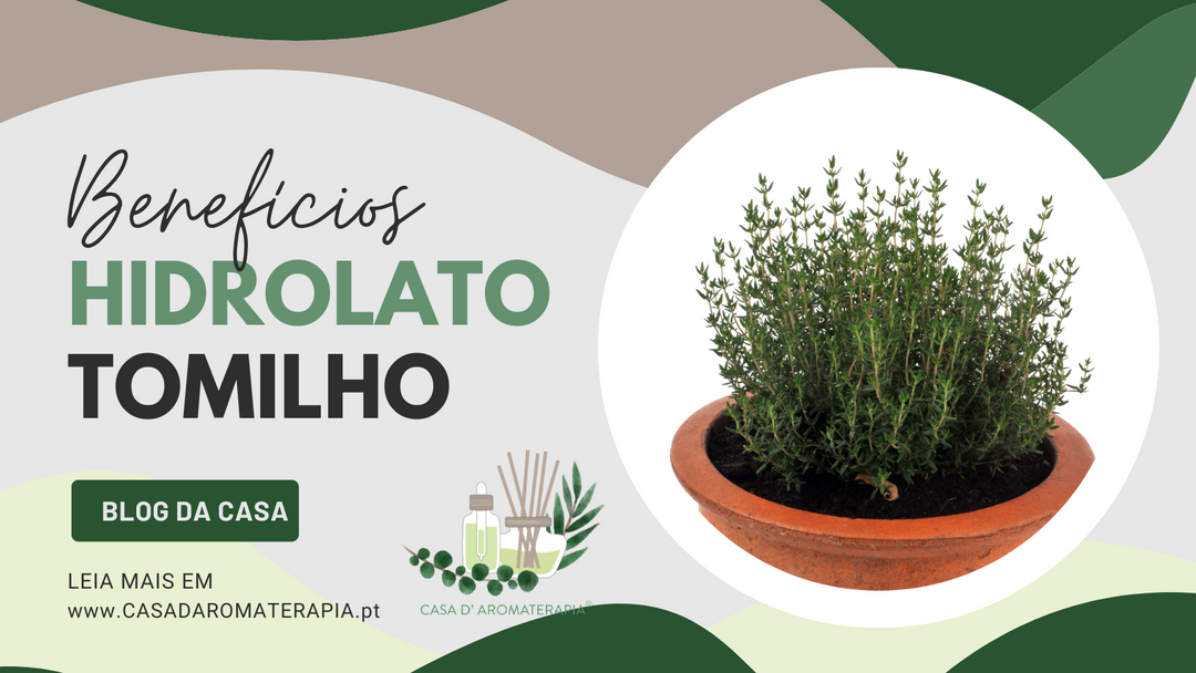 Benefícios do Hidrolato de Tomilho