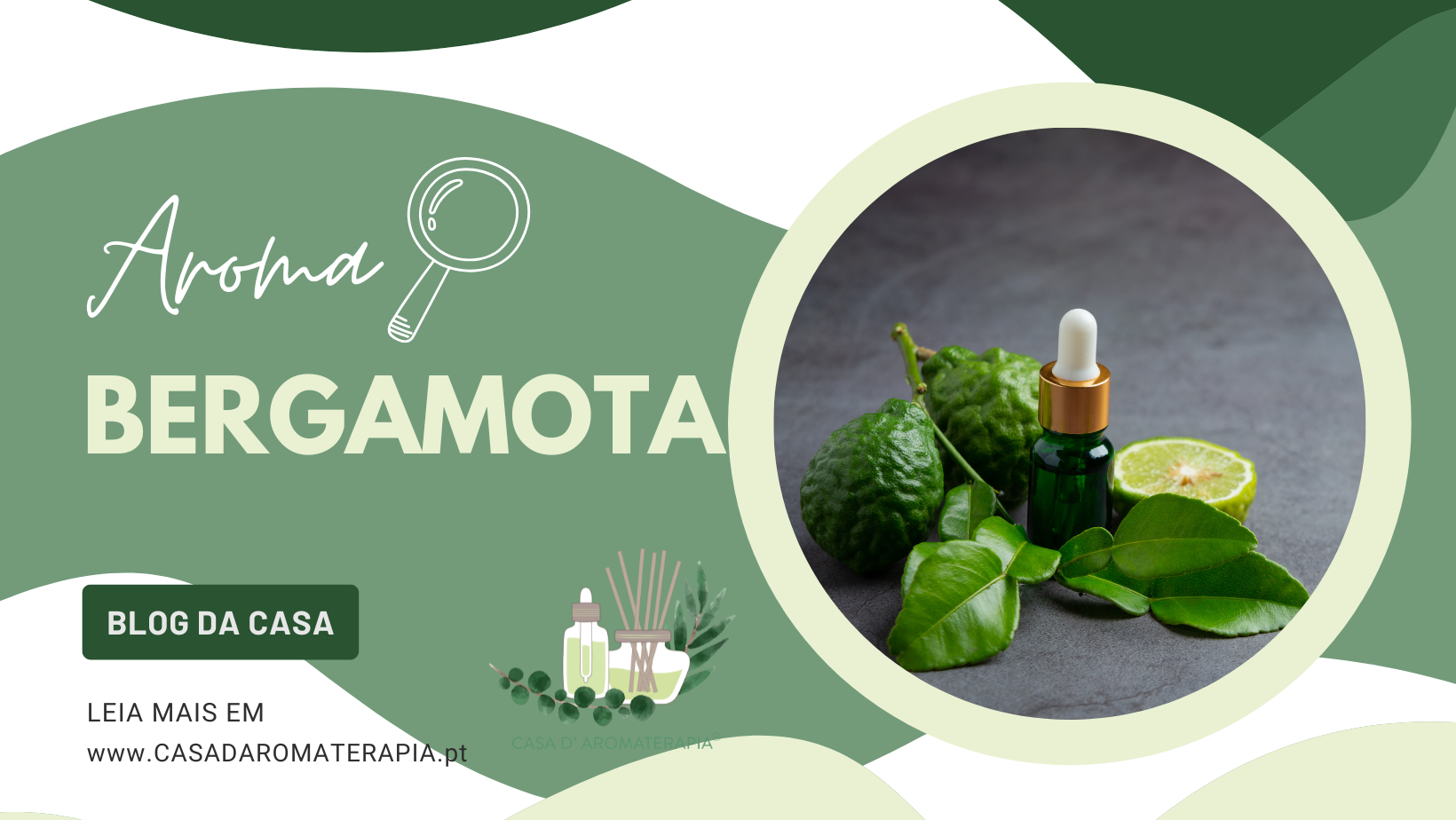 Aroma🔎 sobre a Bergamota