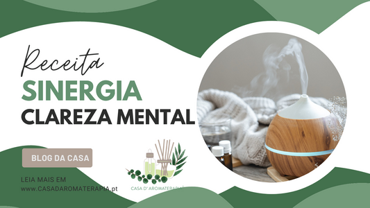 Faça Você Mesmo: Sinergia Clareza Mental