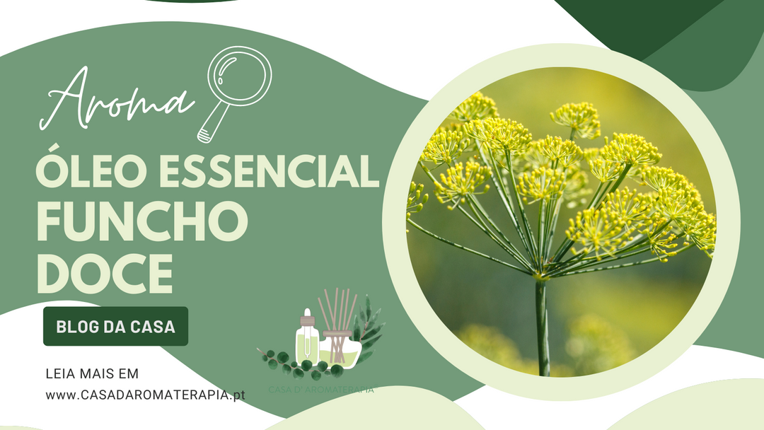 🔎 AromaLupa: Óleo Essencial de Funcho Doce