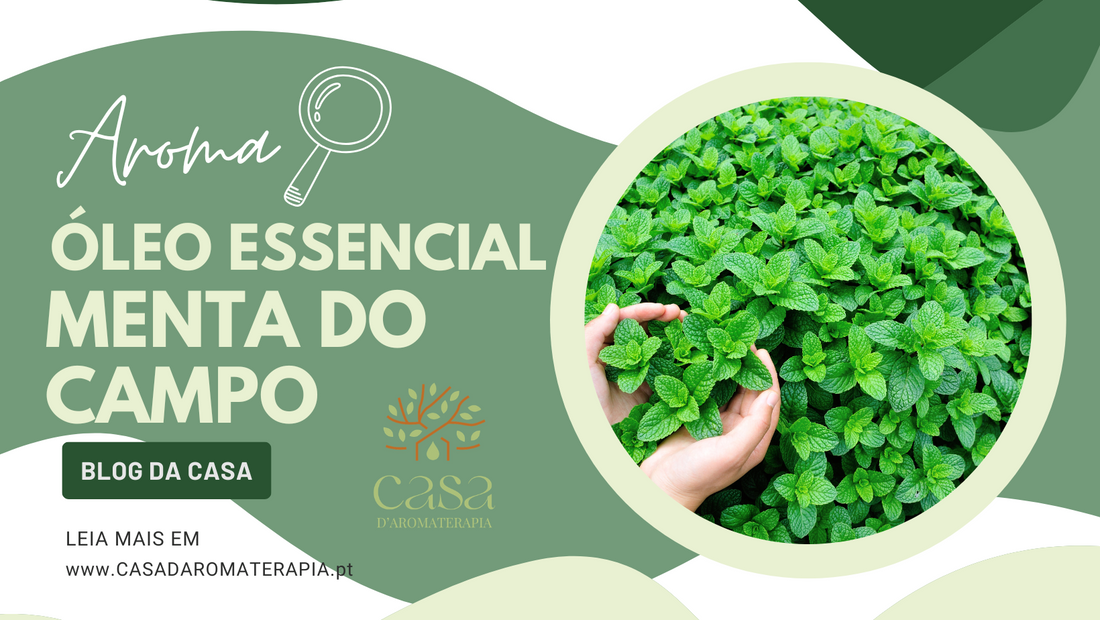 AromaLupa 🔎 Óleo Essencial de Menta do Campo