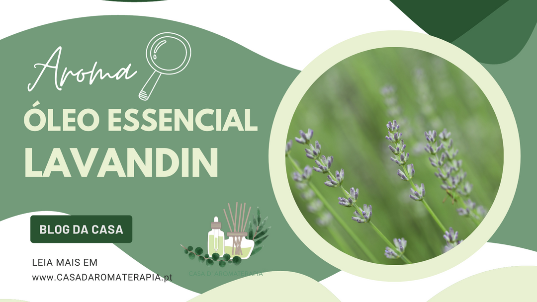 AromaLupa 🔎 Óleo Essencial de Lavandin