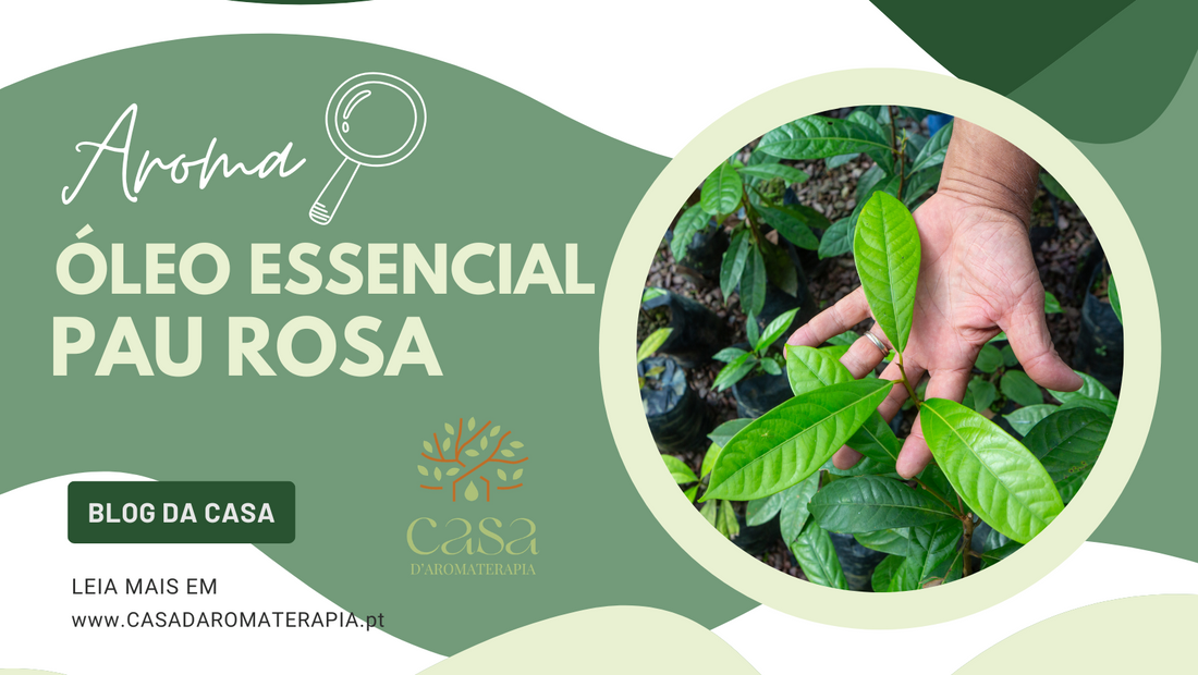 AromaLupa 🔎 Óleo Essencial de Pau Rosa